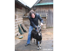 ������� 9