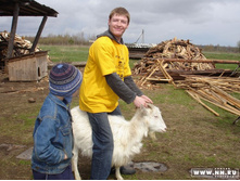 ������� 12