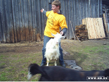 ������� 12