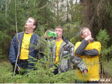 ������� 12