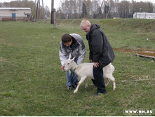 ������� 13