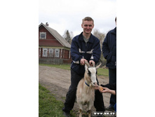 ������� 14