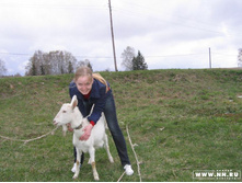 ������� 15