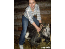 ������� 10