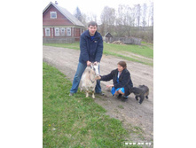 ������� 11