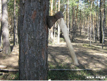 � ���� ���������� �����...