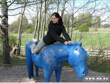 ����� ����