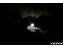 ���� ��� ����������