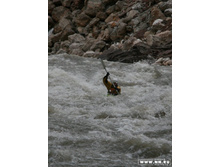 �����, ���. ��������