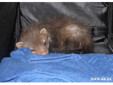 ��� �� ����� ����� �������