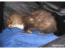 �������� �� �������...