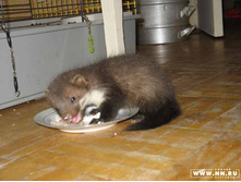 ���!!! ����������, ����� ���!!!!