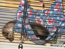 �� ��� �����, ������ ����� � �������...