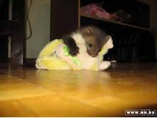 ��������� �� �������