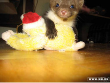 ��� �����?!