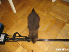 ���������� ����� ����������