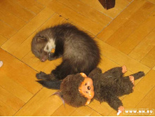 ��������