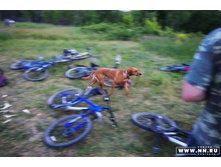 volga-20070614-00039