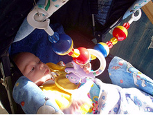 ������� ��� ������� ����������