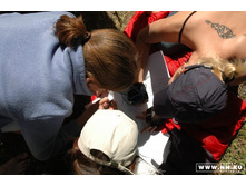 ���� ���������