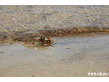 �� ���� � ����