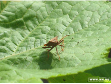 ���� ���� ������ ��-������... :)