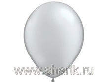 05 �������� SILVER.jpg