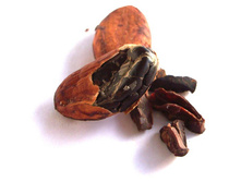 ����� ����