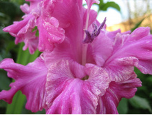 ����������