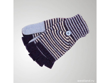 �������� ������� 8037 COSMOS.jpg