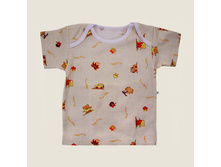 ��������, ������� �� �����. ���. 1102. 100% ������ ���� 69,00