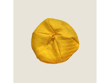 �������. ���. 0510. 100% ������ ���� 37,00