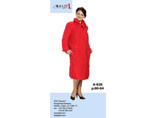 ���� 2480�