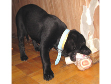 ���� ������� �� �����! )))