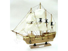 ���� ����