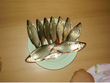 ������ 6 ��� 09