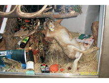 ������ ���������. :-)