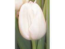 ���� ���� 1.jpg