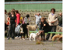 2012-06-24 10-22-51 - IMG_2575.JPG