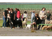 2012-06-24 10-22-58 - IMG_2577.JPG