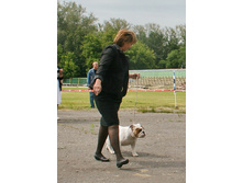 2012-06-24 10-28-45 - IMG_2581.JPG