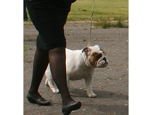 ������� ������� 025.jpg