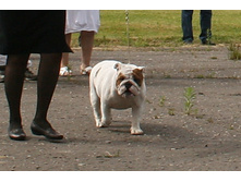 ������� ������� 024.jpg