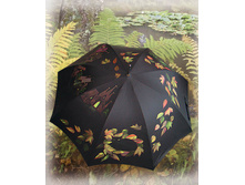 ��������!