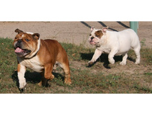 16 ������� �������� ������� 081.jpg