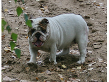 10 �������� 143.jpg