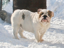 ��������� ���������� 261.jpg