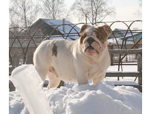 ��������� ���������� 269.jpg