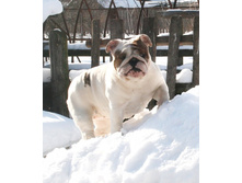 ��������� ���������� 265.jpg