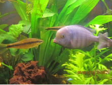 �� ������� �� ������ � ��������